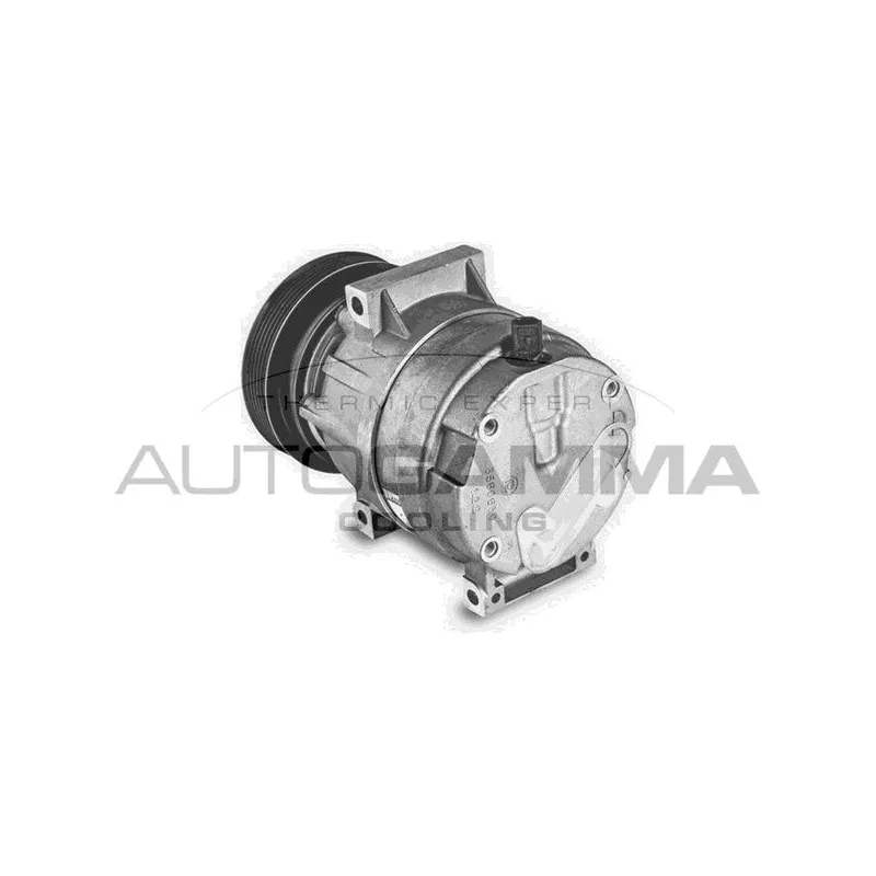 Compresseur, climatisation AUTOGAMMA 108185