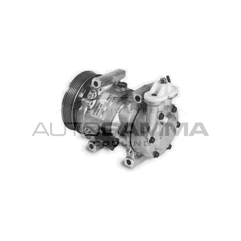 Compresseur, climatisation AUTOGAMMA 108192