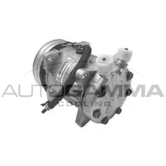 Compresseur, climatisation AUTOGAMMA 108207