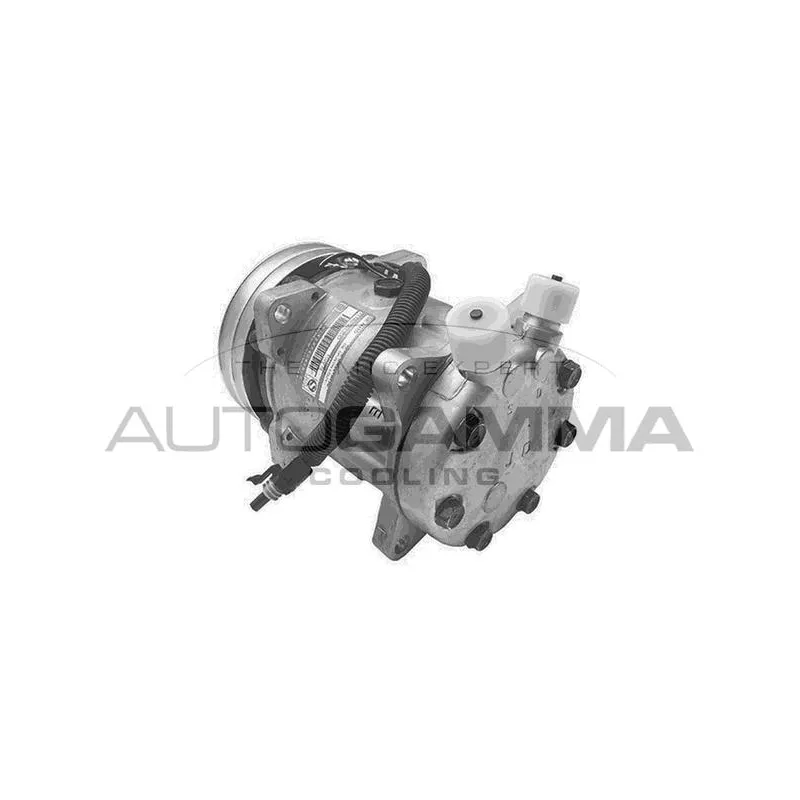 Compresseur, climatisation AUTOGAMMA 108207