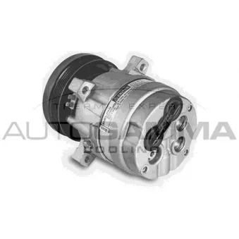 Compresseur, climatisation AUTOGAMMA 108215