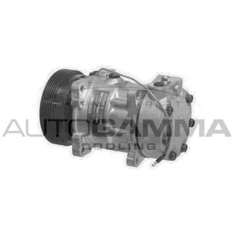 Compresseur, climatisation AUTOGAMMA 108217
