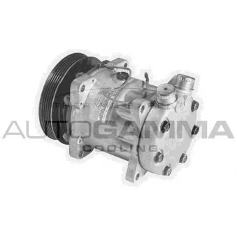 Compresseur, climatisation AUTOGAMMA 108218