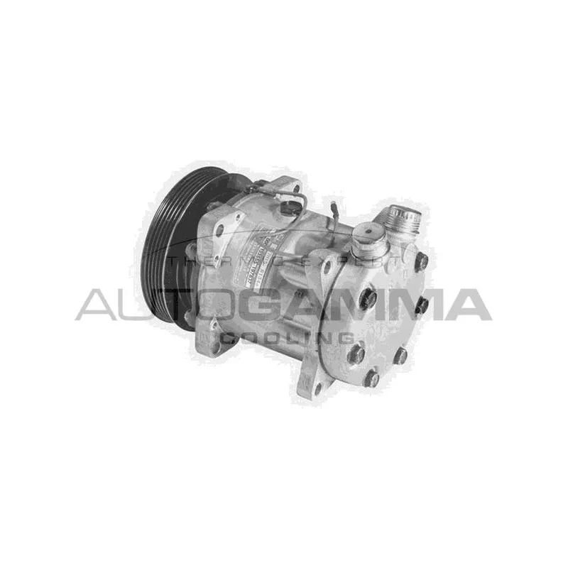 Compresseur, climatisation AUTOGAMMA 108218