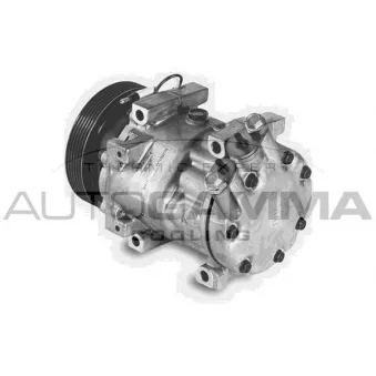 Compresseur, climatisation AUTOGAMMA 108220