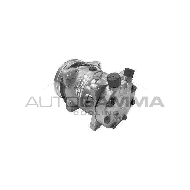 Compresseur, climatisation AUTOGAMMA 108237