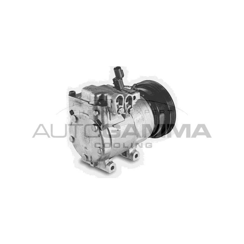 Compresseur, climatisation AUTOGAMMA 108249