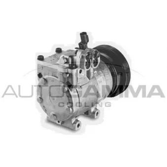 Compresseur, climatisation AUTOGAMMA 108253