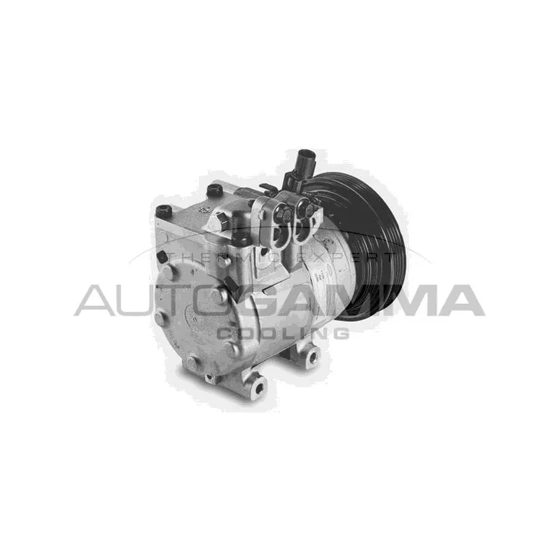 Compresseur, climatisation AUTOGAMMA 108254