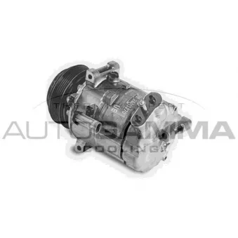 Compresseur, climatisation AUTOGAMMA 108272
