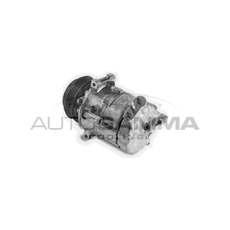 Compresseur, climatisation AUTOGAMMA 108272