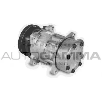 Compresseur, climatisation AUTOGAMMA 108284