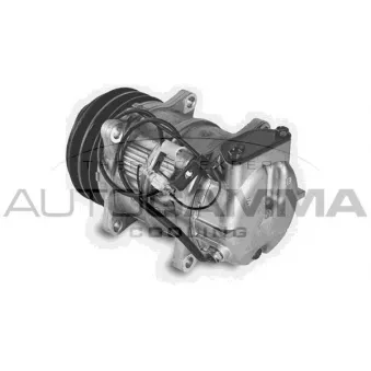 Compresseur, climatisation AUTOGAMMA 108317