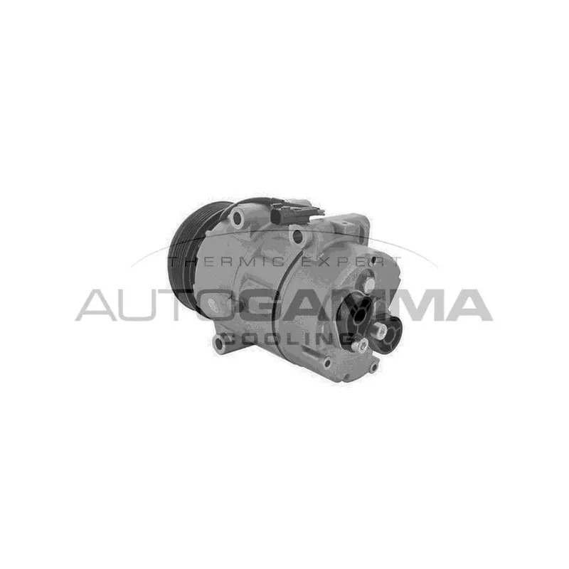 Compresseur, climatisation AUTOGAMMA 108333