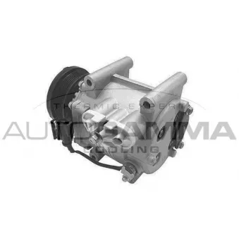 Compresseur, climatisation AUTOGAMMA 108339