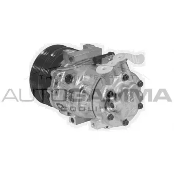 Compresseur, climatisation AUTOGAMMA 108343