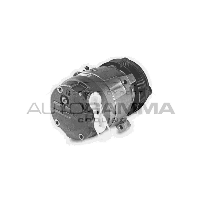Compresseur, climatisation AUTOGAMMA 108350