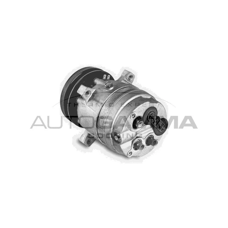 Compresseur, climatisation AUTOGAMMA 108352