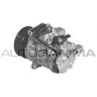 Compresseur, climatisation AUTOGAMMA 108372