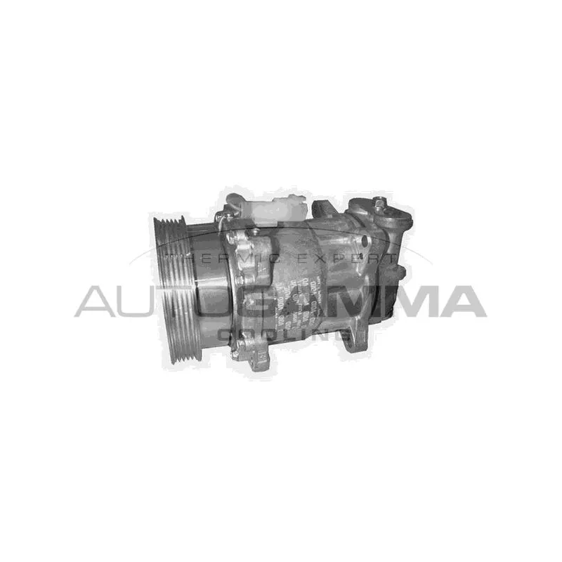 Compresseur, climatisation AUTOGAMMA 108400