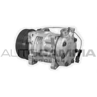 Compresseur, climatisation AUTOGAMMA 108402