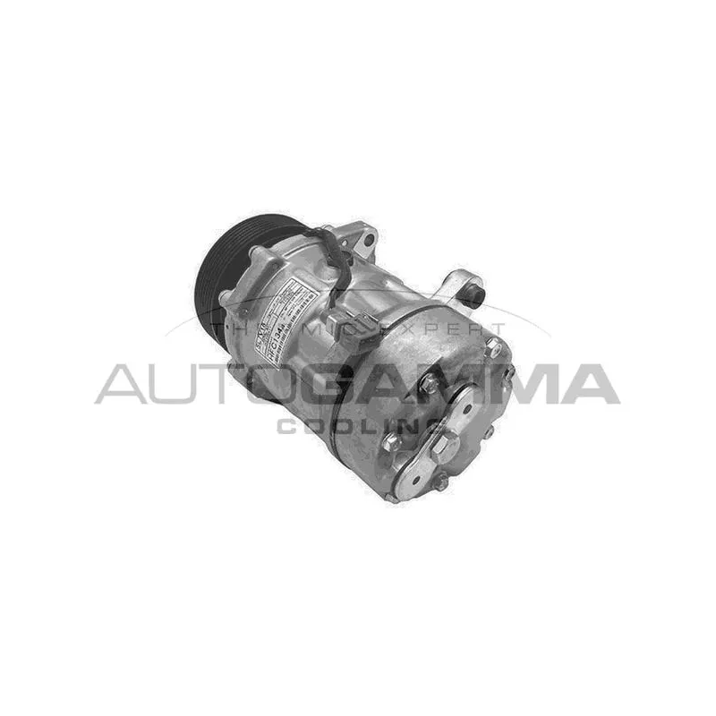 Compresseur, climatisation AUTOGAMMA 108403