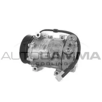 Compresseur, climatisation AUTOGAMMA 108415