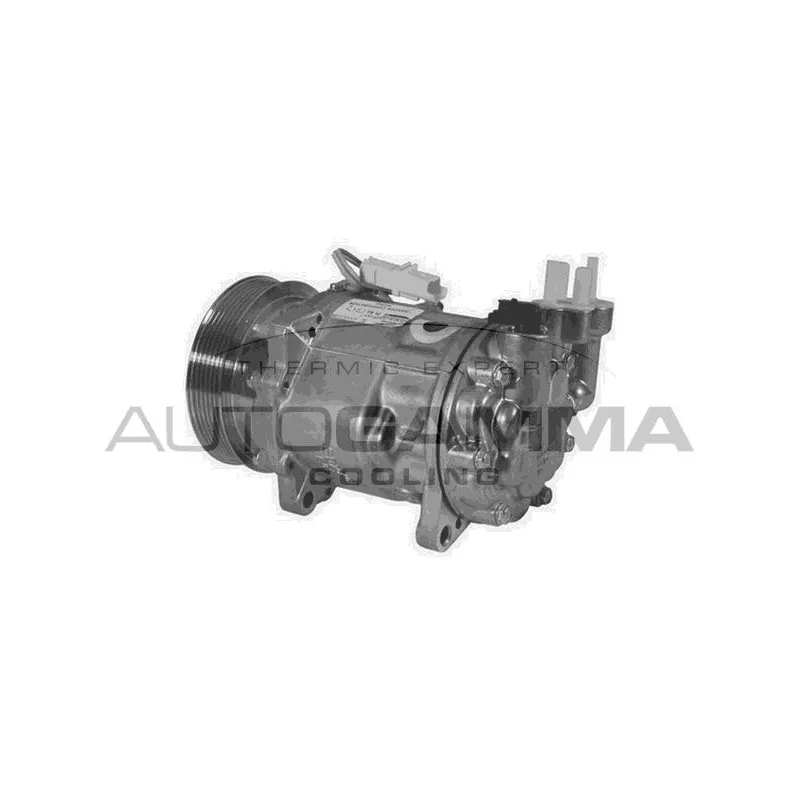 Compresseur, climatisation AUTOGAMMA 108422