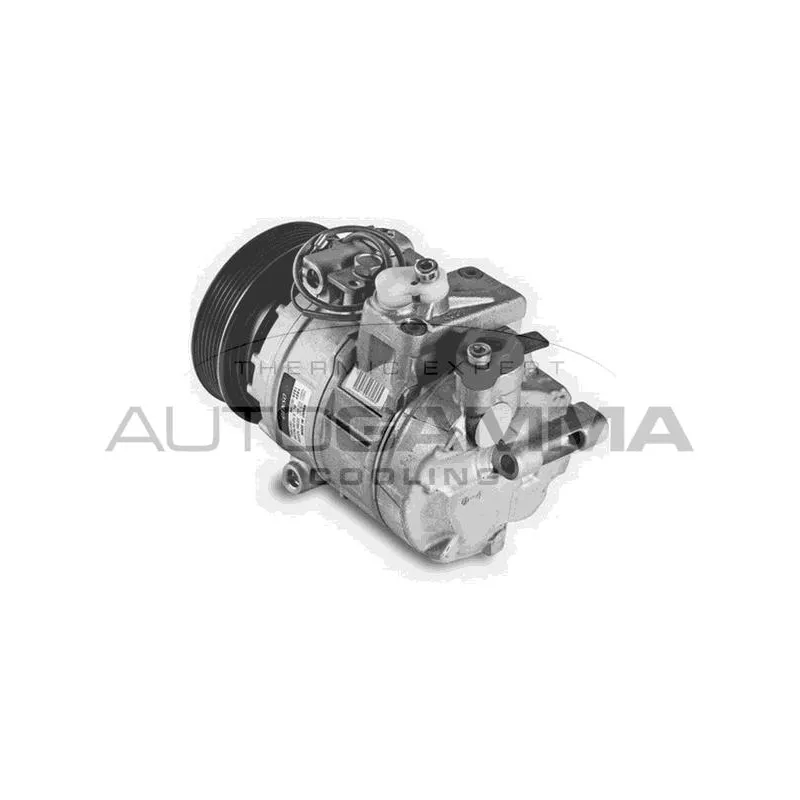 Compresseur, climatisation AUTOGAMMA 108435