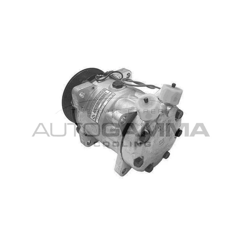 Compresseur, climatisation AUTOGAMMA 108476