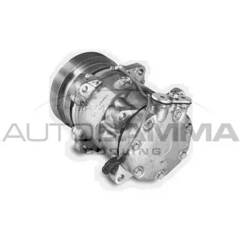 Compresseur, climatisation AUTOGAMMA 108480
