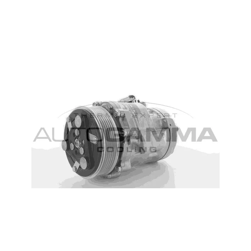 Compresseur, climatisation AUTOGAMMA 108483