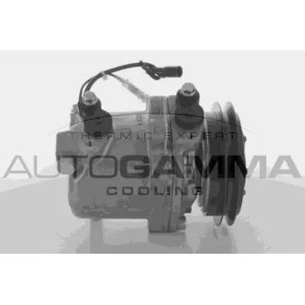 Compresseur, climatisation AUTOGAMMA 108493