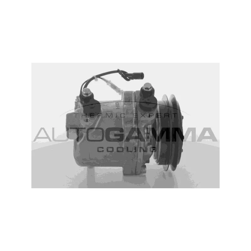 Compresseur, climatisation AUTOGAMMA 108493