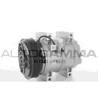 Compresseur, climatisation AUTOGAMMA 108498