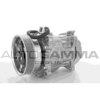 Compresseur, climatisation AUTOGAMMA 108500