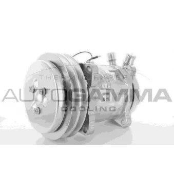 Compresseur, climatisation AUTOGAMMA 108511