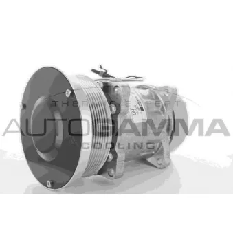 Compresseur, climatisation AUTOGAMMA 108513