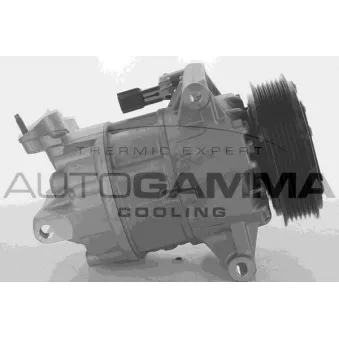 Compresseur, climatisation AUTOGAMMA 108531