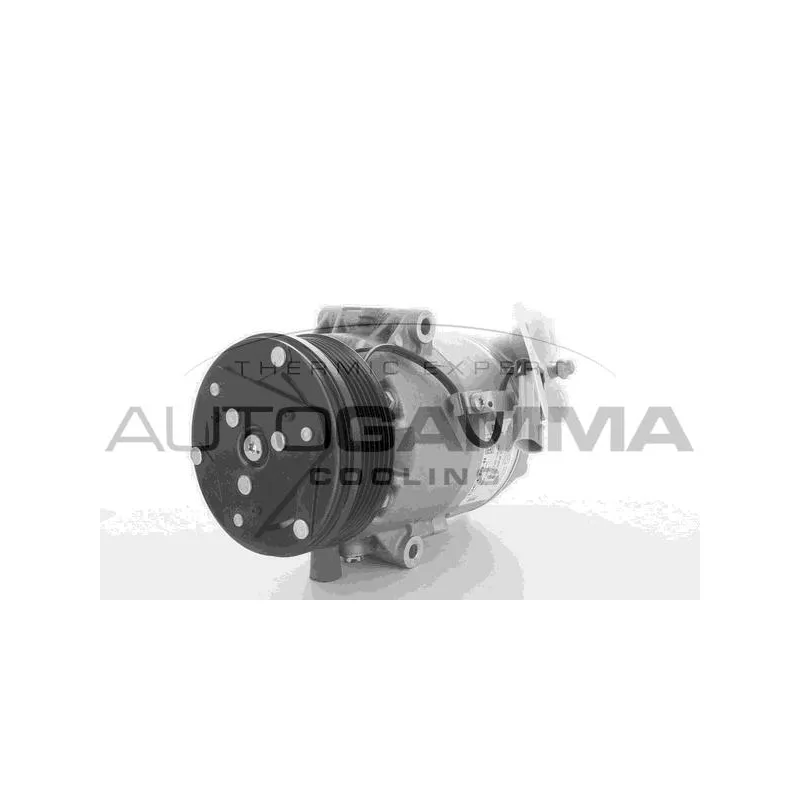 Compresseur, climatisation AUTOGAMMA 108533