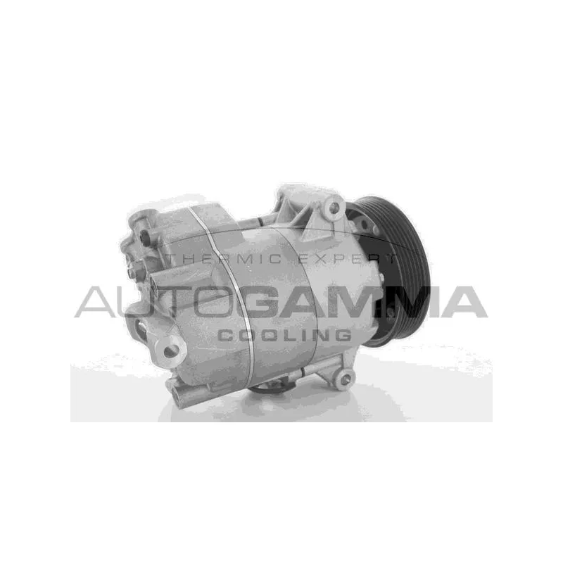 Compresseur, climatisation AUTOGAMMA 108535
