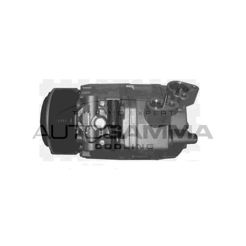 Compresseur, climatisation AUTOGAMMA 108544