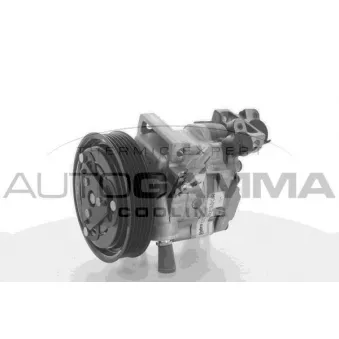 Compresseur, climatisation AUTOGAMMA 108548