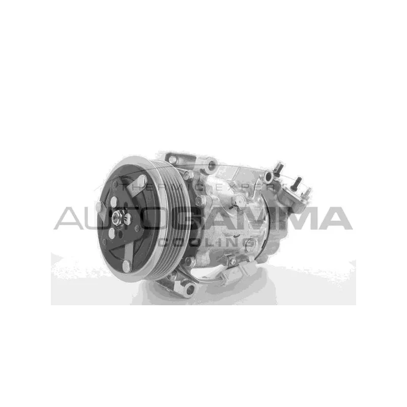 Compresseur, climatisation AUTOGAMMA 108549