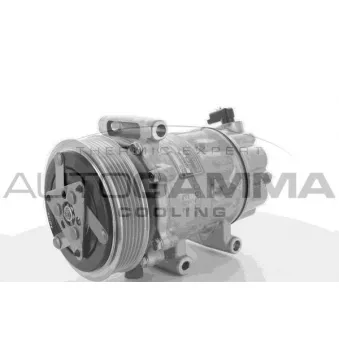 Compresseur, climatisation AUTOGAMMA 108552