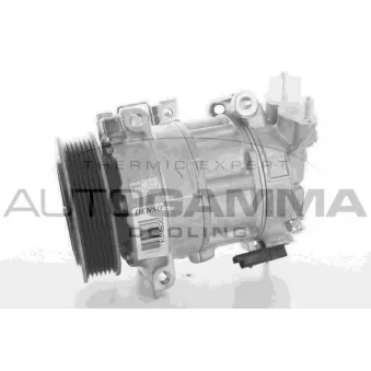Compresseur, climatisation AUTOGAMMA 108558