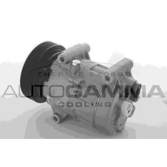 Compresseur, climatisation AUTOGAMMA 108561