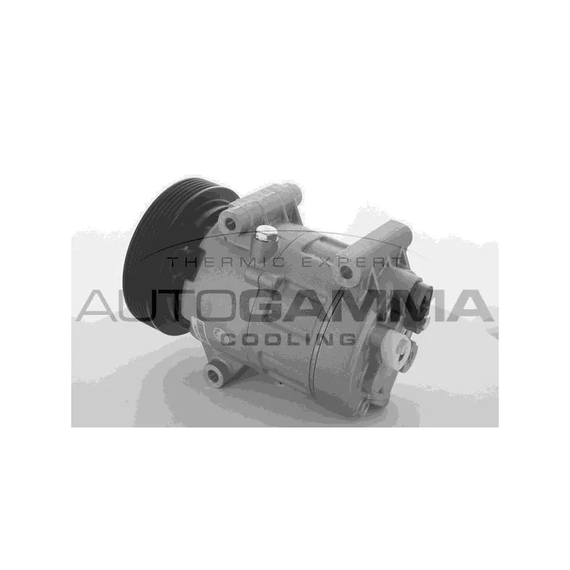 Compresseur, climatisation AUTOGAMMA 108561