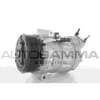 Compresseur, climatisation AUTOGAMMA 108565