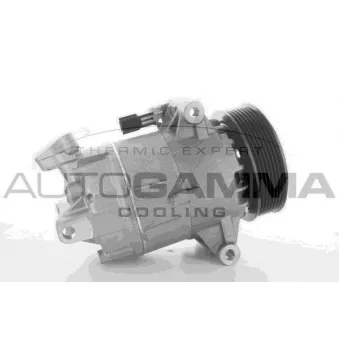 Compresseur, climatisation AUTOGAMMA 108568